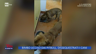 La Vita in diretta. Bimbo ucciso dai pitbull: i cani non saranno soppressi, la famiglia chiede giustizia - RaiPlay